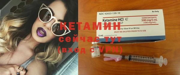 СК Ельня