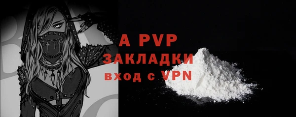 стафф Киренск