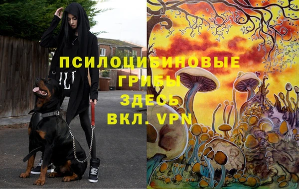 кокаин Козельск