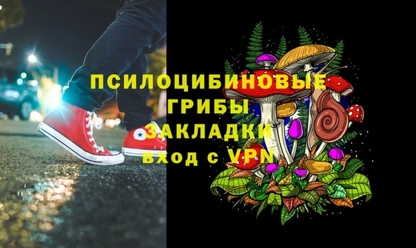 таблы Козловка