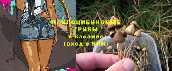 стафф Киренск