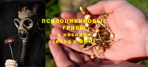 apvp Кинешма